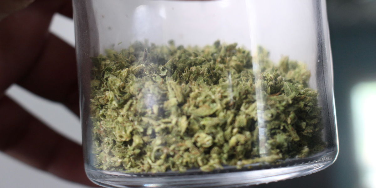 toronto cannabis delivery