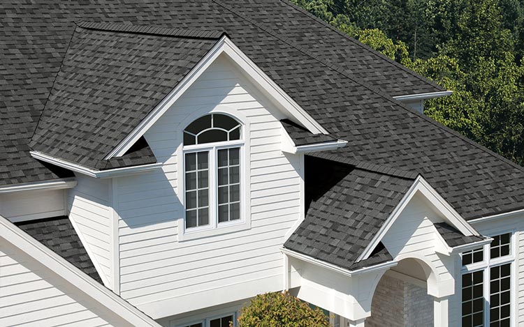 Roof Repair Services