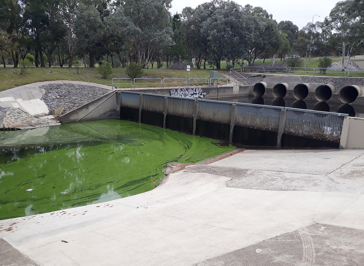 Solid Waste Filtration System: Best Non-Biodegradable Pollutants Removal