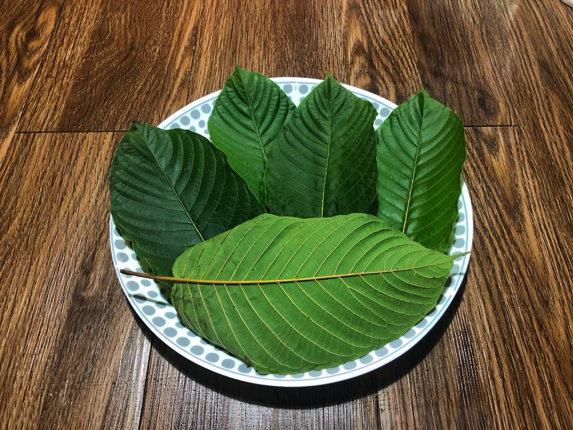 strongest white sumatra kratom